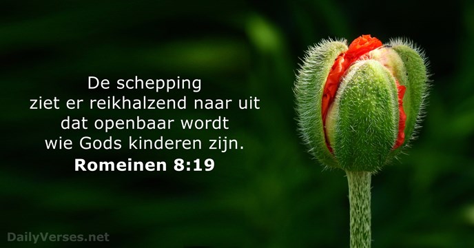 Poster Romeinen 8:19.